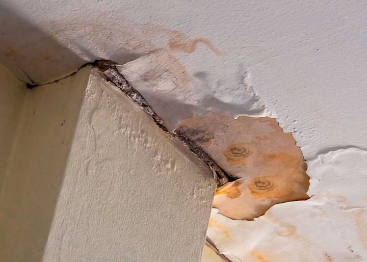Water-Damage-Mold-Removal-scaled-1 water damage mold removal